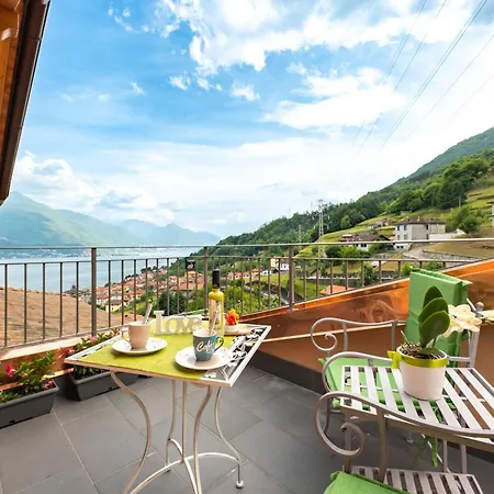 Piccola Orchidea * Musso