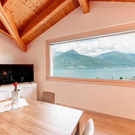 Piccola Orchidea Musso