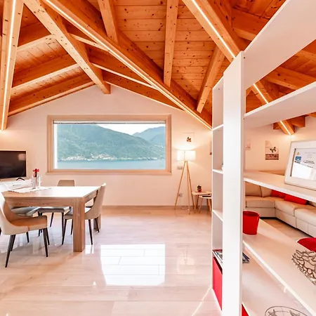 Piccola Orchidea Musso