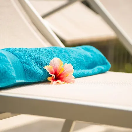 Piccola Orchidea Musso