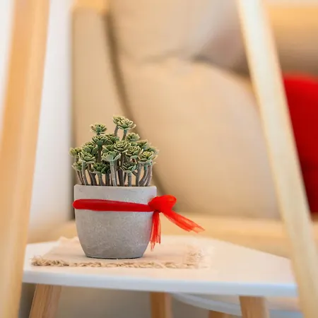 Piccola Orchidea * Musso