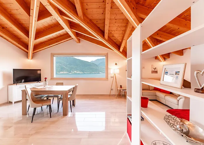 Piccola Orchidea Musso