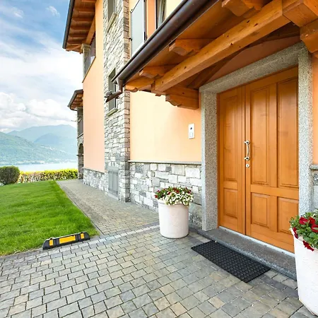 Piccola Orchidea * ムッソ