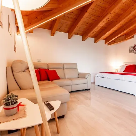 Piccola Orchidea ムッソ