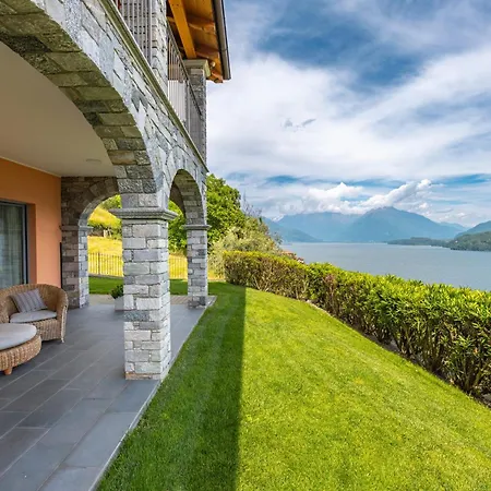 Piccola Orchidea ムッソ