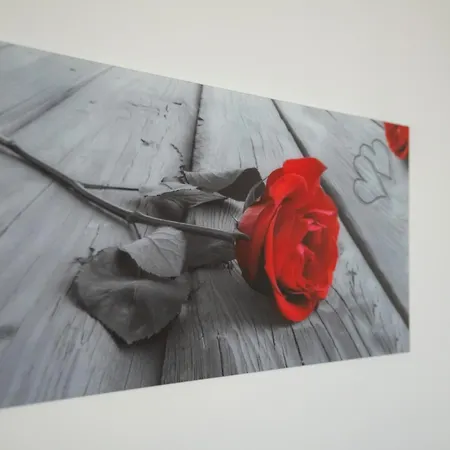 Piccola Orchidea * ムッソ