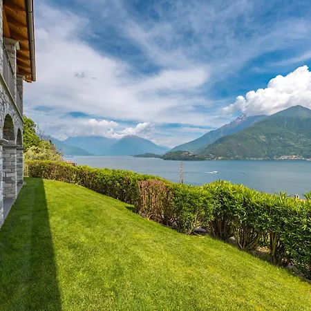 Piccola Orchidea Musso