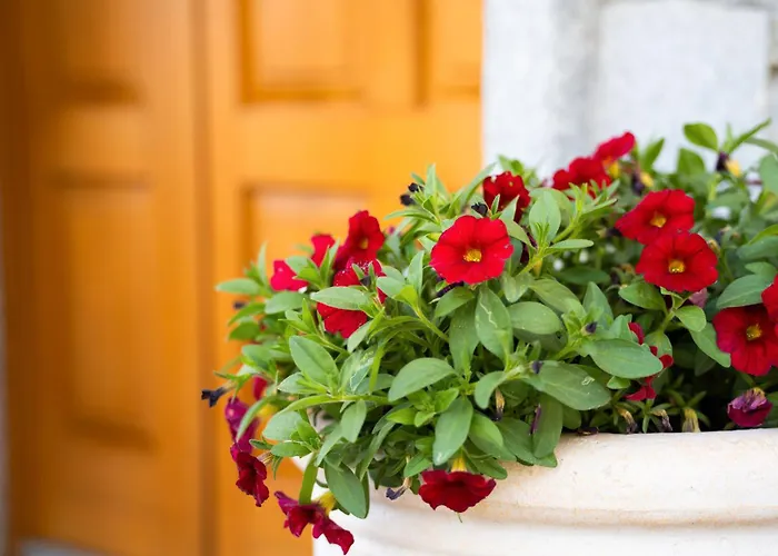 Semesterbostad Piccola Orchidea