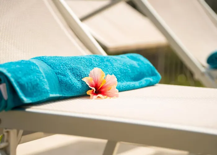 Piccola Orchidea Musso