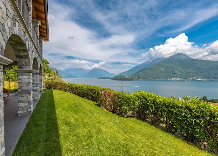 Piccola Orchidea Musso