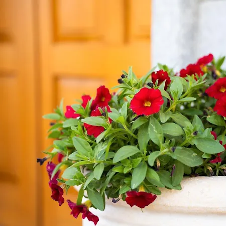 Σπίτι διακοπών Piccola Orchidea