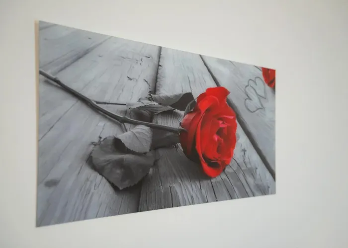 Piccola Orchidea * Musso